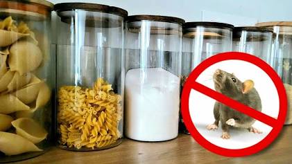 Souris contaminant des aliments