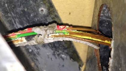 Fils et emballages rongés par une souris